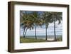 Beach Palms-Mary Lou Johnson-Framed Art Print