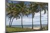 Beach Palms-Mary Lou Johnson-Mounted Art Print