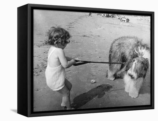 Beach Pals-null-Framed Stretched Canvas