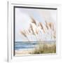 Beach Pampas-Isabelle Z-Framed Art Print