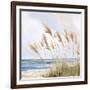 Beach Pampas-Isabelle Z-Framed Art Print