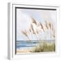 Beach Pampas-Isabelle Z-Framed Art Print