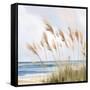 Beach Pampas-Isabelle Z-Framed Stretched Canvas