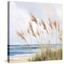 Beach Pampas-Isabelle Z-Stretched Canvas