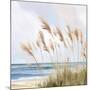 Beach Pampas-Isabelle Z-Mounted Art Print