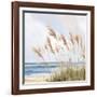 Beach Pampas-Isabelle Z-Framed Art Print