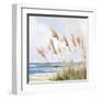 Beach Pampas-Isabelle Z-Framed Art Print