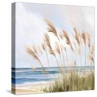 Beach Pampas-Isabelle Z-Stretched Canvas