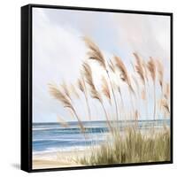 Beach Pampas-Isabelle Z-Framed Stretched Canvas