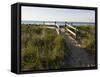 Beach Path at the Center Hill Preserve, Plymouth, Massachusetts, USA-Jerry & Marcy Monkman-Framed Stretched Canvas