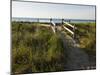 Beach Path at the Center Hill Preserve, Plymouth, Massachusetts, USA-Jerry & Marcy Monkman-Mounted Photographic Print