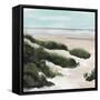 Beach Path I-Annie Warren-Framed Stretched Canvas