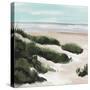 Beach Path I-Annie Warren-Stretched Canvas