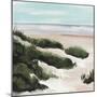 Beach Path I-Annie Warren-Mounted Art Print