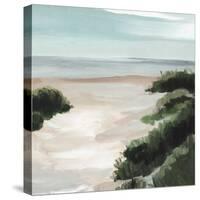 Beach Path II-Annie Warren-Stretched Canvas