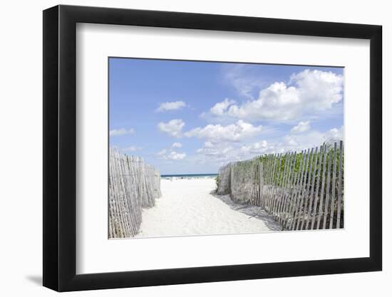 Beach Path, Lummus Park, Miami South Beach, Art Deco District, Florida, Usa-Axel Schmies-Framed Photographic Print