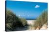 Beach Path Through The Dunes-null-Stretched Canvas