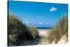 Beach Path Through The Dunes-null-Stretched Canvas