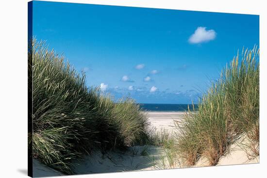 Beach Path Through The Dunes-null-Stretched Canvas