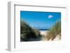 Beach Path Through The Dunes-null-Framed Art Print