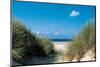 Beach Path Through The Dunes-null-Mounted Art Print