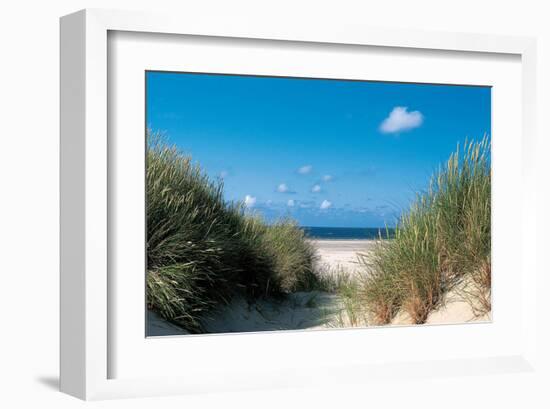 Beach Path Through The Dunes-null-Framed Art Print