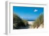 Beach Path Through The Dunes-null-Framed Art Print