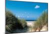 Beach Path Through The Dunes-null-Mounted Art Print