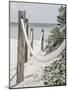 Beach Path with Ropes-Incado-Mounted Photographic Print