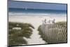 Beach Path-Zhen-Huan Lu-Mounted Art Print