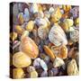 Beach Pebbles, 2007-Martin Decent-Stretched Canvas