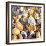 Beach Pebbles, 2007-Martin Decent-Framed Giclee Print