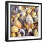 Beach Pebbles, 2007-Martin Decent-Framed Giclee Print