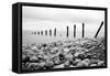 Beach Pebbles-null-Framed Stretched Canvas