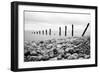 Beach Pebbles-null-Framed Photographic Print