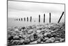 Beach Pebbles-null-Mounted Photographic Print