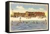 Beach, Pensacola, Florida-null-Framed Stretched Canvas