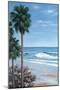 Beach Place-Diane Romanello-Mounted Art Print