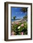 Beach Playa Blanca, Puerto del Carmen, Lanzarote, Canary Islands, Spain-null-Framed Art Print