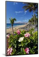 Beach Playa Blanca, Puerto del Carmen, Lanzarote, Canary Islands, Spain-null-Mounted Art Print