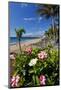 Beach Playa Blanca, Puerto del Carmen, Lanzarote, Canary Islands, Spain-null-Mounted Art Print