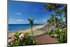 Beach Playa Blanca, Puerto del Carmen, Lanzarote, Canary Islands, Spain-null-Mounted Art Print