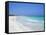 Beach, Playa Del Carmen, Yucatan, Mexico, North America-John Miller-Framed Stretched Canvas