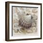 Beach Prize II-Arnie Fisk-Framed Art Print