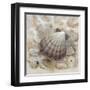 Beach Prize II-Arnie Fisk-Framed Art Print