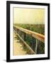 Beach Rails II-Lisa Hill Saghini-Framed Art Print