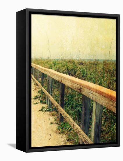 Beach Rails II-Lisa Hill Saghini-Framed Stretched Canvas