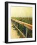 Beach Rails II-Lisa Hill Saghini-Framed Premium Giclee Print