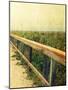 Beach Rails II-Lisa Hill Saghini-Mounted Premium Giclee Print