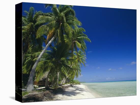 Beach, Rangiroa Atoll, Tuamotu Archipelago, French Polynesia, South Pacific Islands, Pacific-Sylvain Grandadam-Stretched Canvas